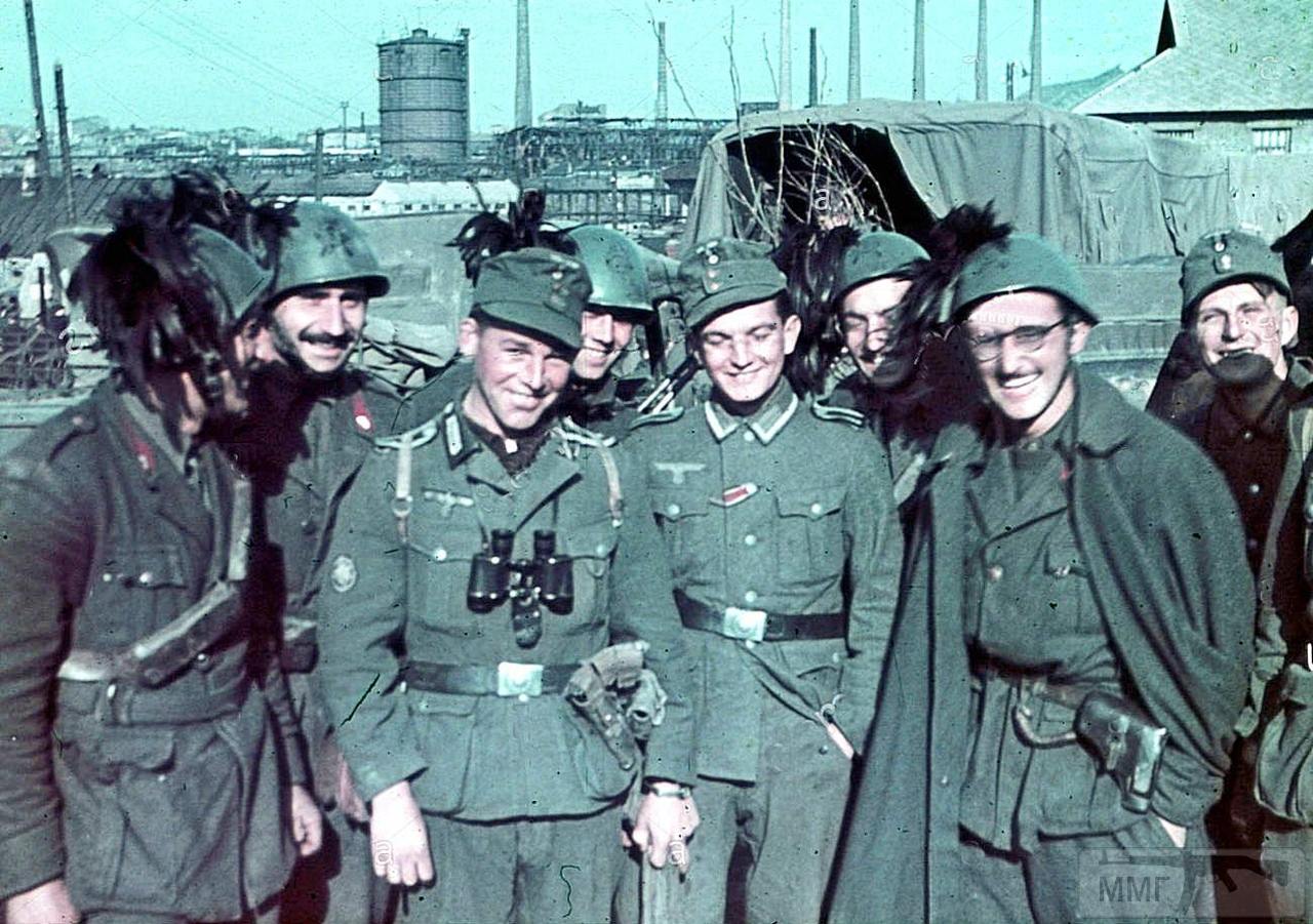 Как сдавались в плен во Вторую мировую войну: скрытые истории и неожиданные судьбы